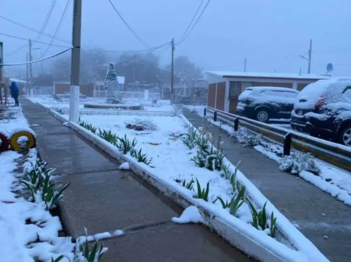 ¡Sorprendente! Sonora nevada en plena primavera