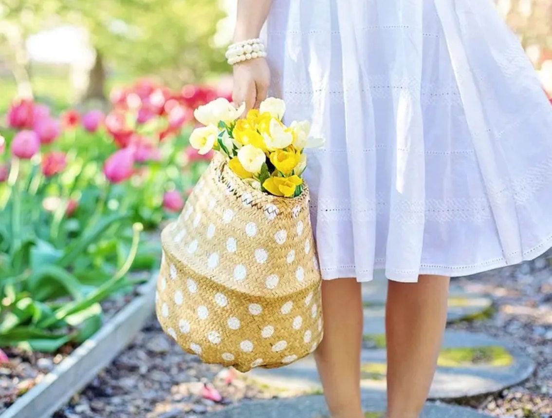 ¡Se acerca el calor! ¿Cuándo comienza la primavera de 2024 en México?