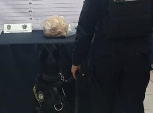 La Unidad Canina localiza envoltorio de mariguana