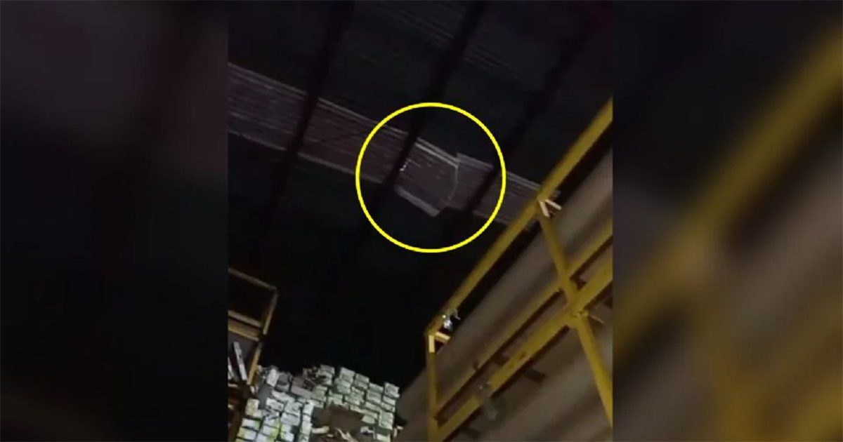 Ladrón entra a bodega a robar y cae desde la azotea