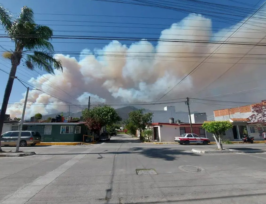 Cultivo pudo iniciar incendio forestal en Veracruz