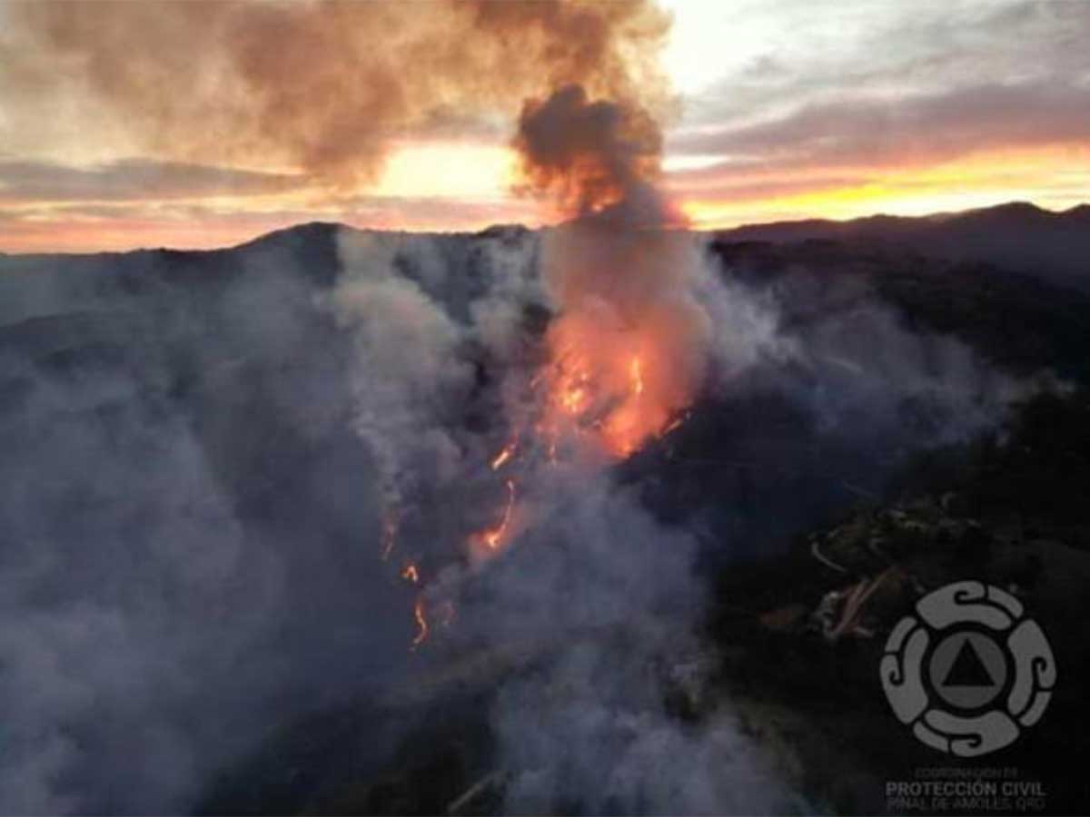Evacuación en Sierra Gorda de Querétaro por Incendio Forestal