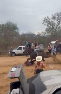 Borracho muere atropellado por un caballo de carreras
