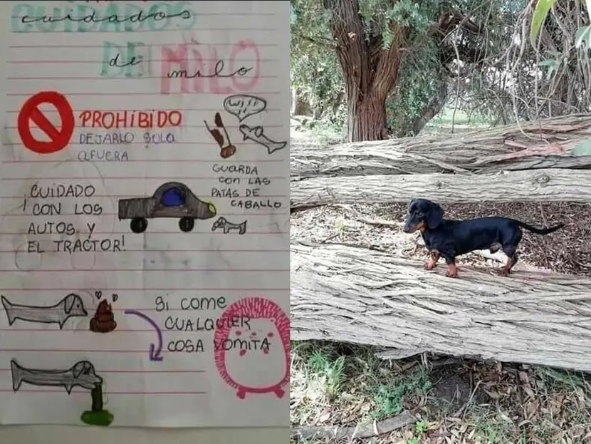 Niña deja tierno manual a tía para cuidar a su perrito