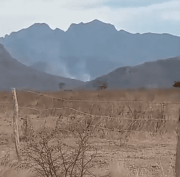 Cae aeronave de Semar en Sinaloa