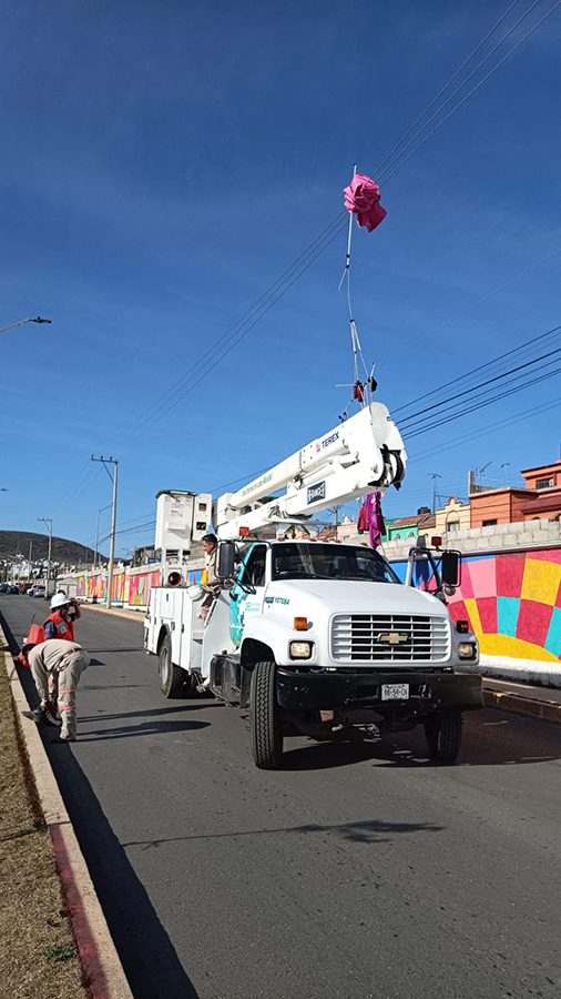 Aire, vuela puesto de tianguis y termina en cables de alta tensión
