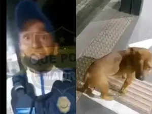 Policía es suspendido por golpear a perro en Metrobús CDMX