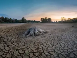 Sequía cubre casi el 80% del territorio nacional