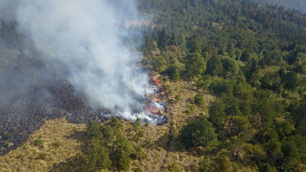Sofocan incendios forestales; despliega helicópteros, drones y brigadas