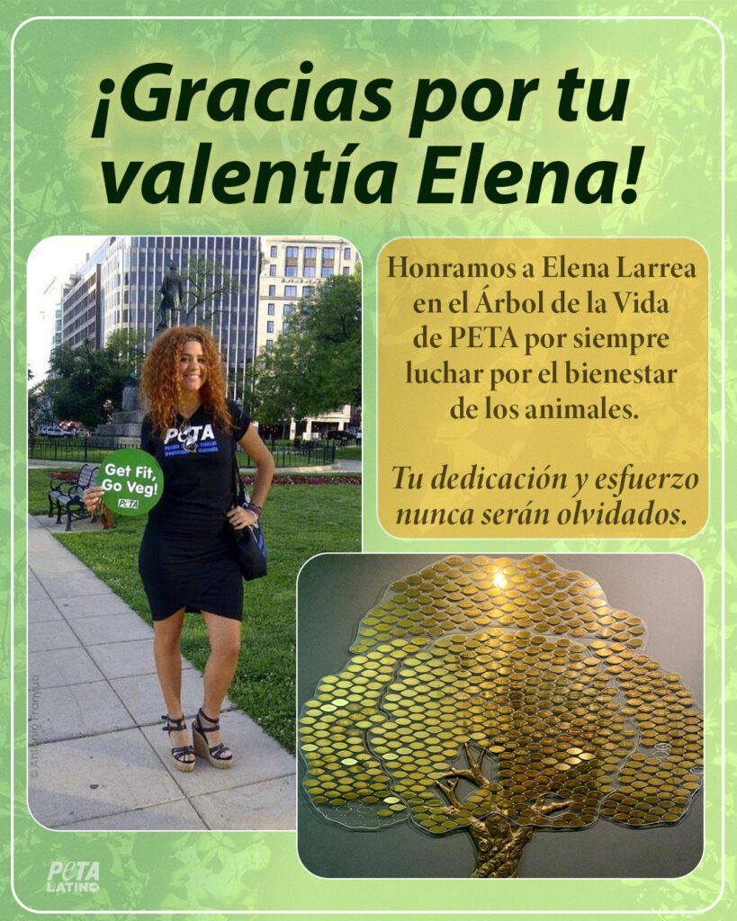 PETA Latino honra a Elena Larrea en el monumento “Árbol de la Vida”