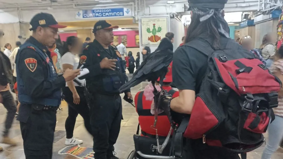 Jóvenes viajan en el Metro de CDMX con un cuervo sin jaula