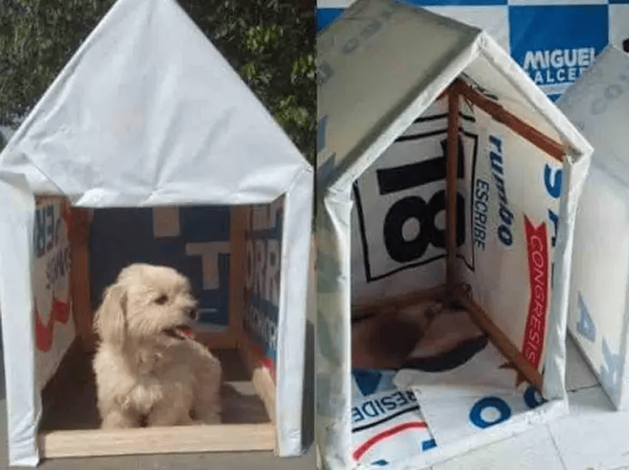 Jóvenes retiran propaganda política y arman con ella casitas para perros de la calle