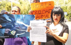 Instruyen a determinar sanciones por sacrificio animal en el Senado