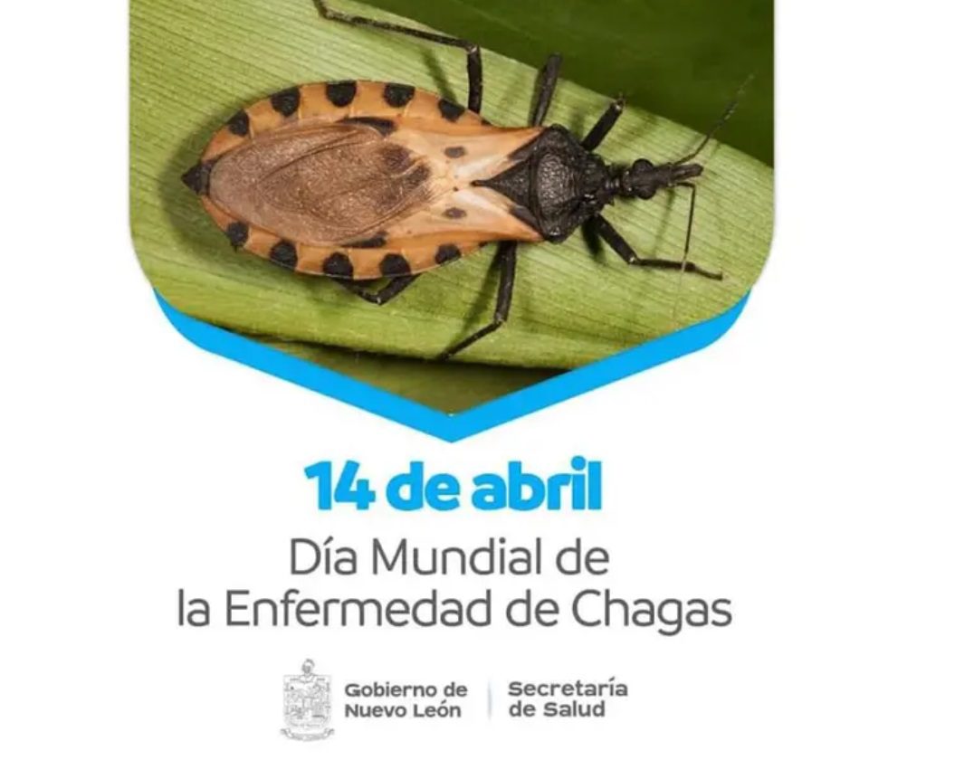 Alerta en NL por chinche besucona mortal