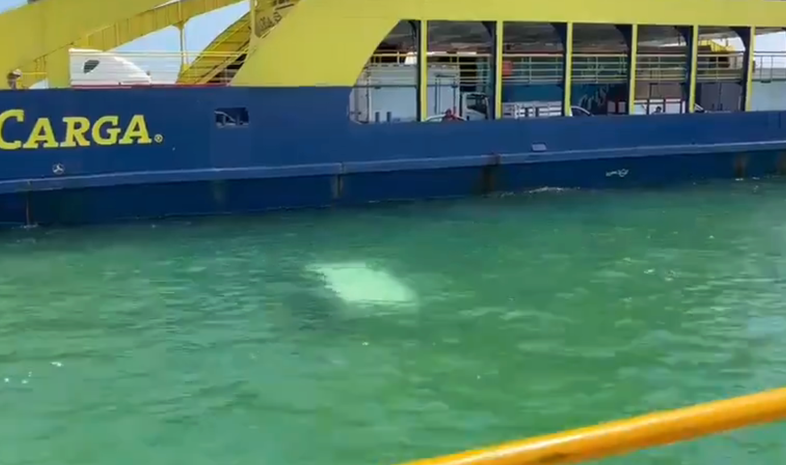 Camioneta cae de ferry al mar en Islas Mujeres