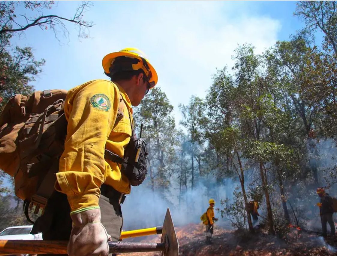 72 incendios forestales se han registrado en México durante una ola de calor