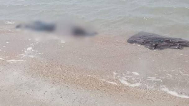 China exige investigar caso de chinos encontrados muertos en Oaxaca