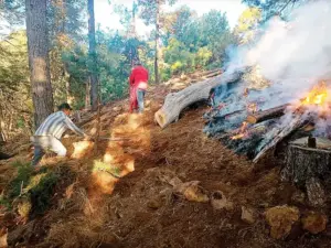 Incendios forestales aumentan en Guerrero