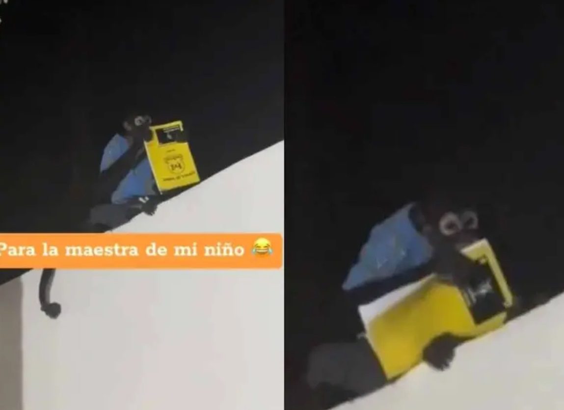 Un mono toma la tarea de un niño en Culiacán ¿La maestra le creerá?