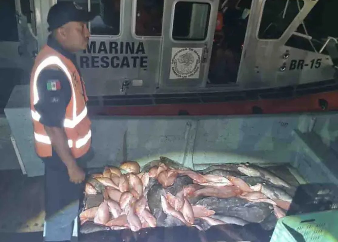 Semar asegura barco y tripulación por pesca ilegal en Yucatán