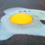 Peculiar platillo: un huevo se cuece en el pavimento caliente de Veracruz