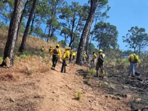 Alarmantes 141 incendios forestales en México durante ola de calor