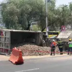 Camión con 22 toneladas vuelca en Picacho Ajusco por falla en frenos