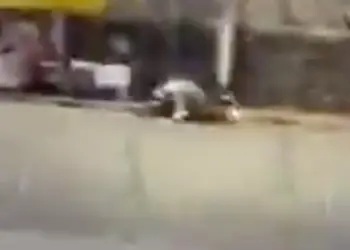 Despojan de la vida a motociclista frente a Campo Militar en Naucalpan