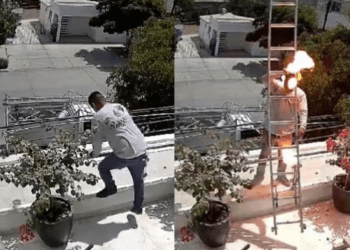 Vídeo: Hombre sufre descarga eléctrica y cae del techo de un edificio