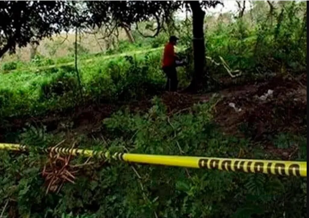 En Oaxaca, encontraron fosas clandestinas con restos de ocho personas