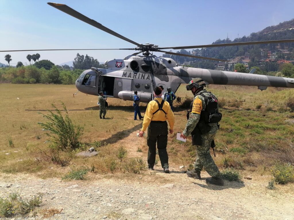 Alarmantes 141 incendios forestales en México durante ola de calor