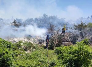 Hay 30 incendios forestales activos en Guerrero; 4 en Chilpancingo