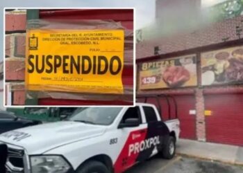 Salmonella en pollos de local clausurado en Escobedo, NL