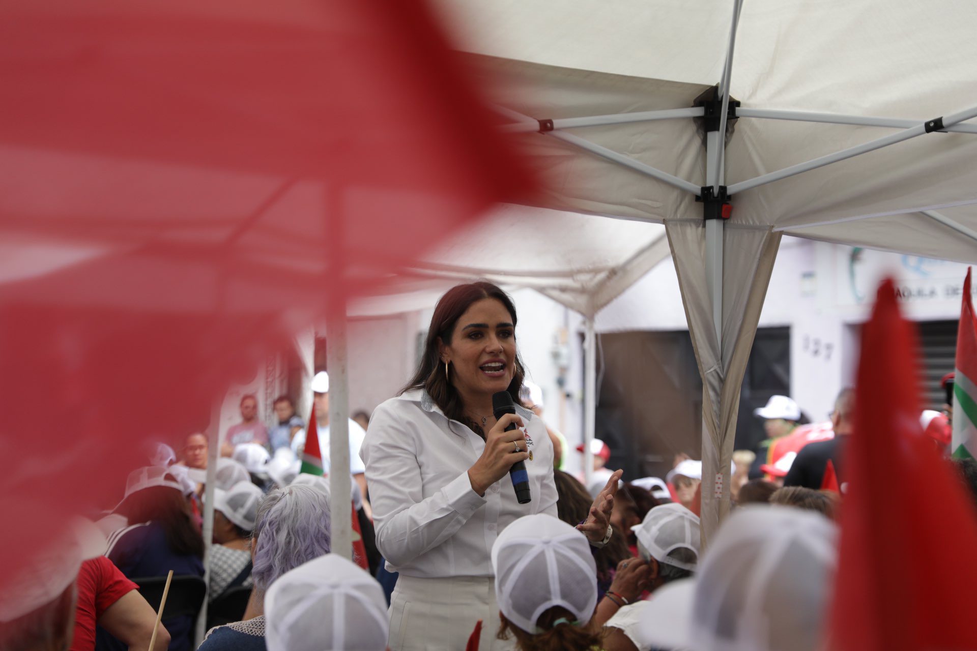 Rojo de la Vega exige información sobre su agresor