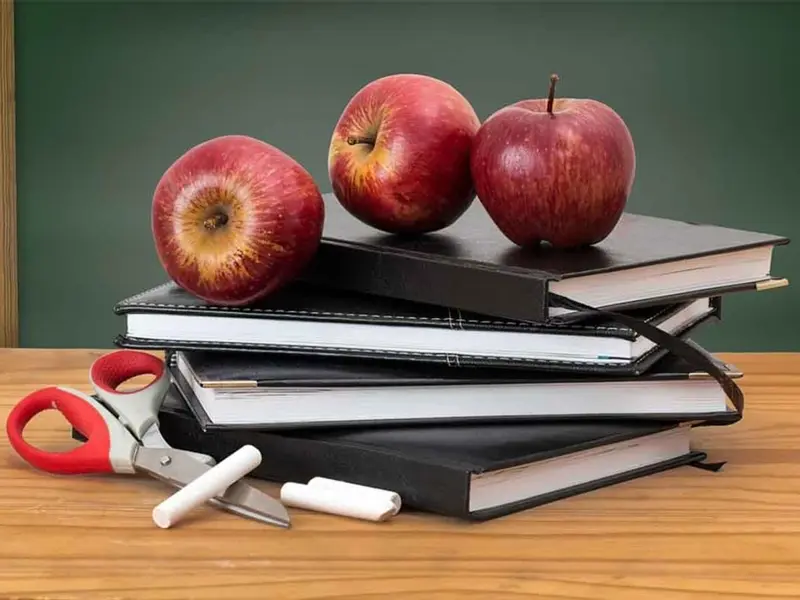 Para celebrar a los maestros: Las frases que seguro el ‘profe’ te dijo