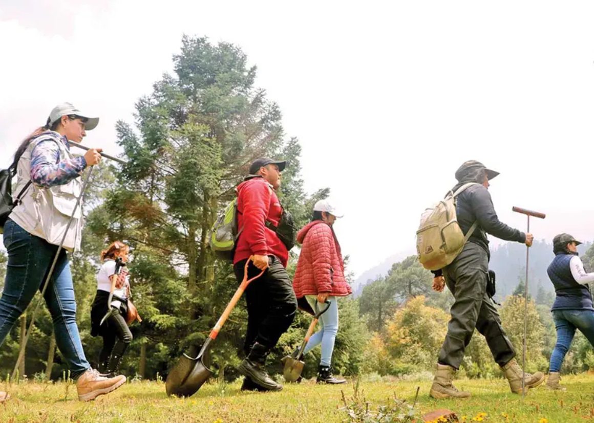 Doce colectivos se movilizaron en la Ciudad de México en busca de sus hijos