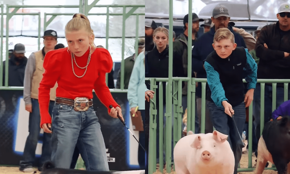 Duelo de miradas entre niños durante demostración de cerdos
