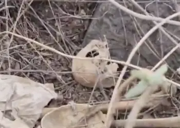 Reportan nuevo hallazgo de restos humanos en Iztapalapa