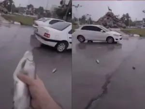 Captan en vídeo inquietante lluvia de peces en Irán