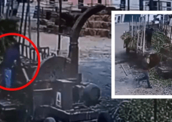 Hombre es tragado por trituradora