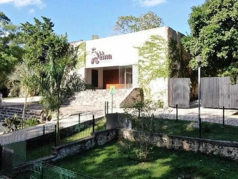 Muere un león en zoológico de Yucatán; acusan negligencia