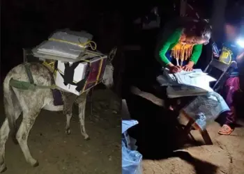 Una mula ayuda a transportar boletas electorales en la Sierra Sur de Oaxaca