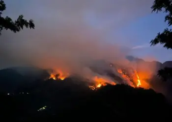 17 incendios forestales afectan diversas partes del estado de Veracruz