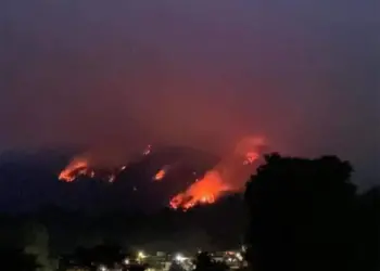 Tras incendio forestal, habitantes de Veracruz y Puebla piden ayuda en CDMX