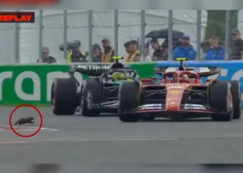 La más rápida de la Fórmula 1: Corre marmota en pista de carrera