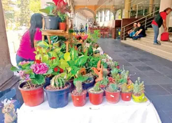 Bazares al rescate: Veracruzanos aumentan sus ingresos en medio de la dificultad económica