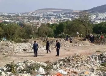 ¡Impactante! Encuentran pierna humana siendo comida por un perro en Pachuca