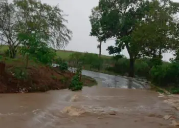 Las lluvias continúan en Veracruz, provocan escurrimientos de agua y derrumbes