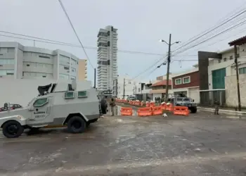 Más de 200 armas largas fueron descubiertas en un edificio de fraccionamiento