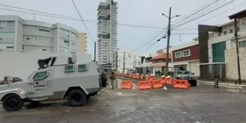 Más de 200 armas largas fueron descubiertas en un edificio de fraccionamiento